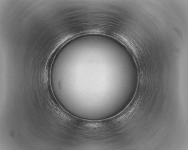 X0000116270835200912141326