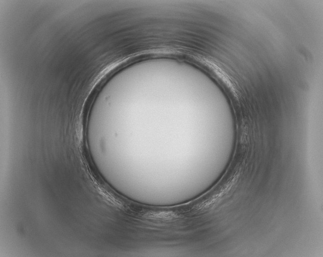 X0000116270837200912141326