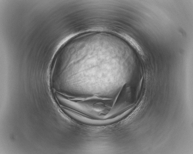 X0000116270854200912141327