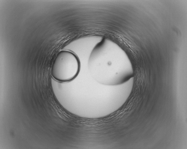 X0000116270868200912141326