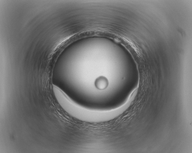 X0000116270872200912141326
