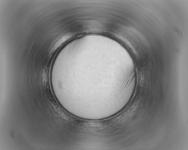 X0000116270874200912141326