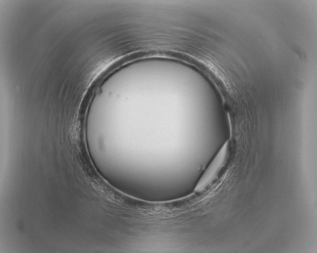 X0000116270879200912141326