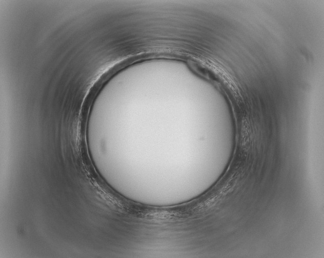 X0000116270880200912141326