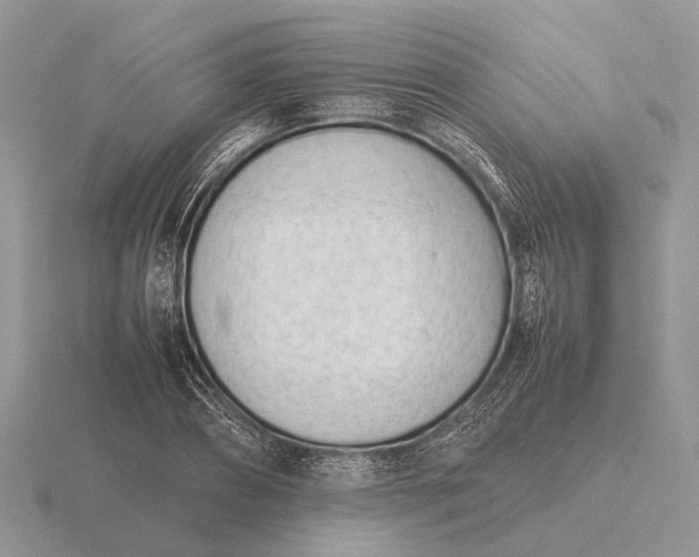 X0000116270882200912141326