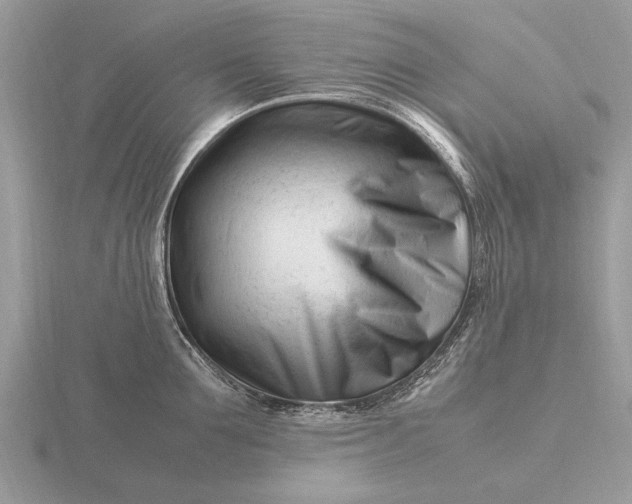 X0000116270907200912141325