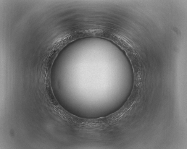 X0000116270917200912141324