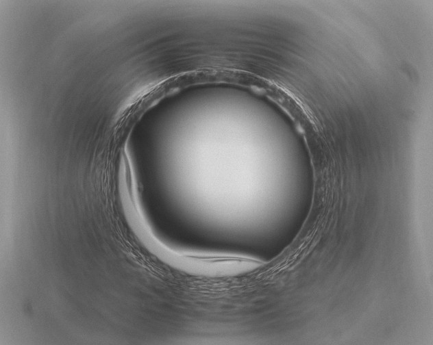 X0000116270919200912141325