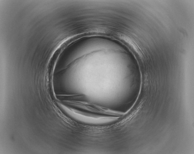 X0000116270923200912141325