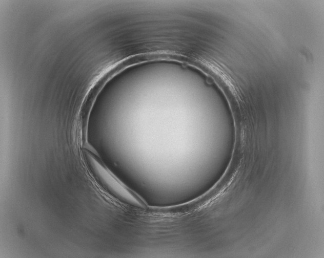 X0000116270925200912141325