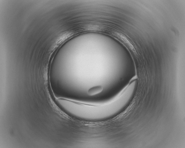 X0000116270938200912141325