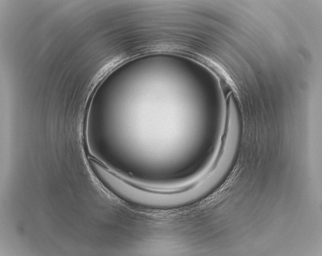 X0000116270946200912141325