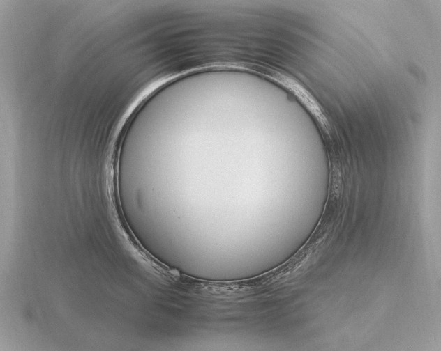 X0000116270955200912141325
