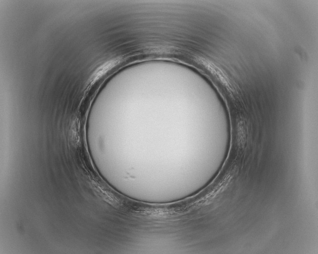 X0000116270970200912141324