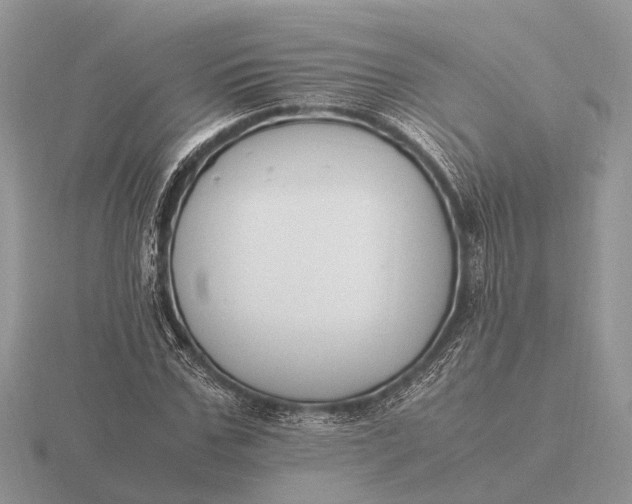 X0000116270971200912141324