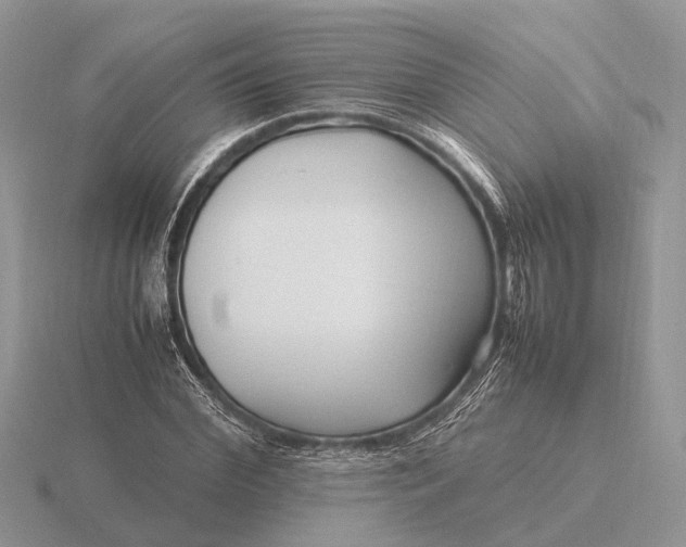 X0000116270972200912141324