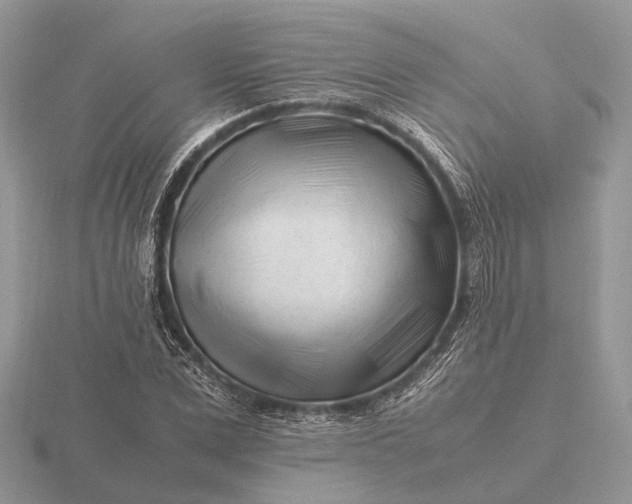 X0000116270975200912141324