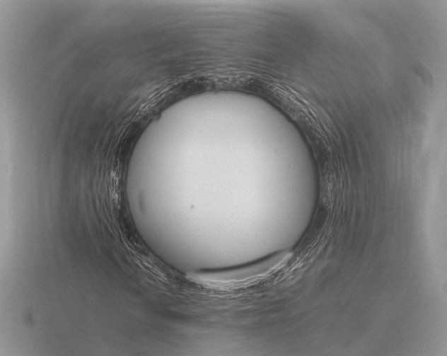 X0000116271010200912141323