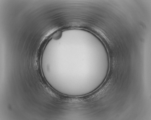 X0000116271018200912141323