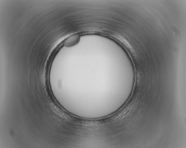 X0000116271020200912141323