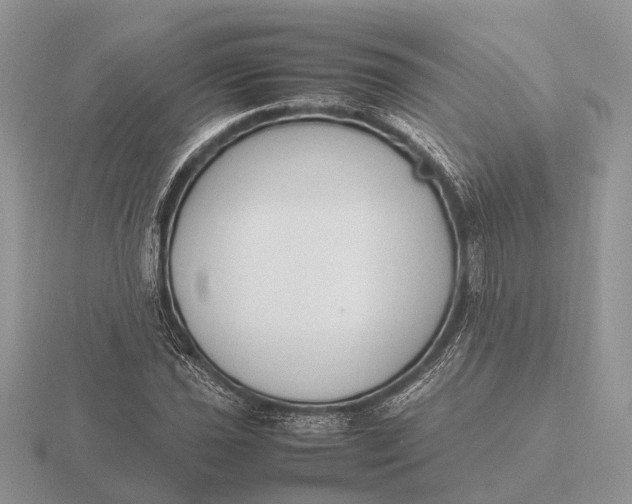 X0000116271021200912141323