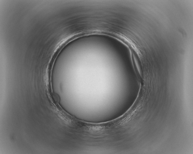 X0000116271031200912141323
