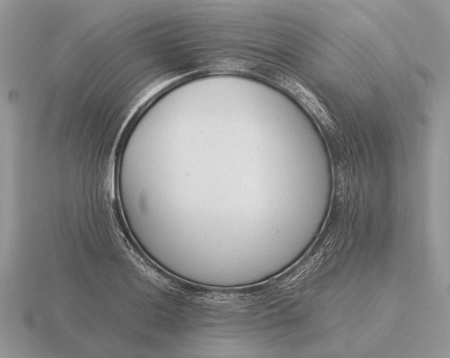 X0000116271036200912141324