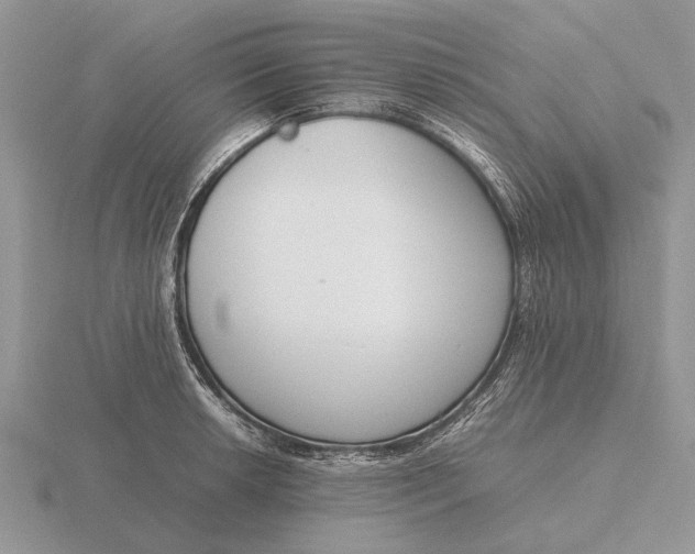 X0000116271042200912141324