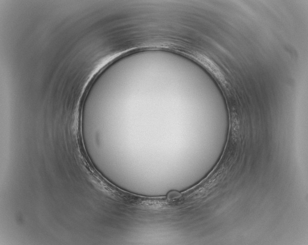 X0000116271044200912141324