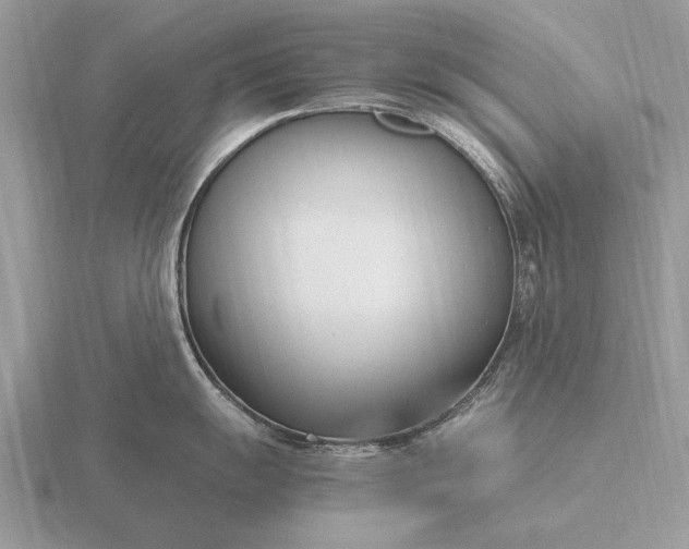 X0000116271055200912141324