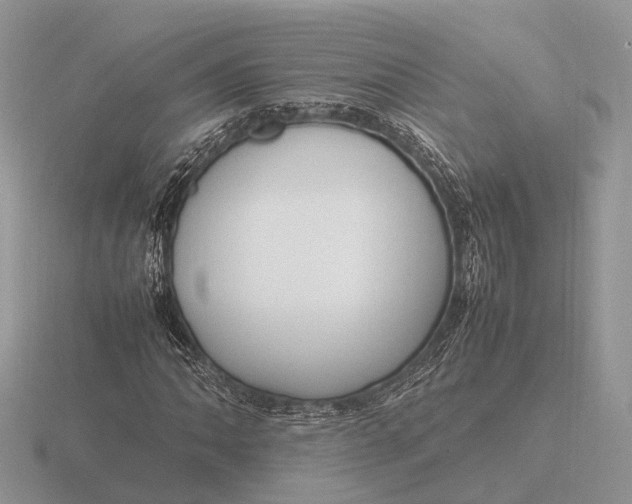 X0000116271062200912141323