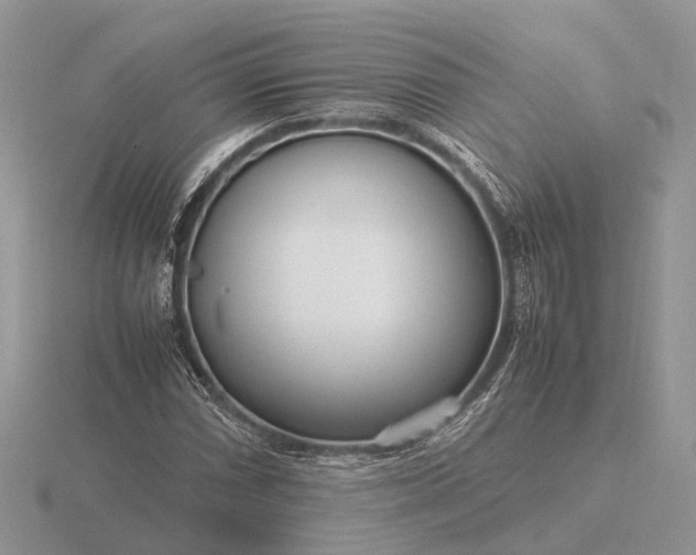 X0000116271066200912141323