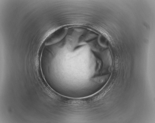 X0000116271077200912141323