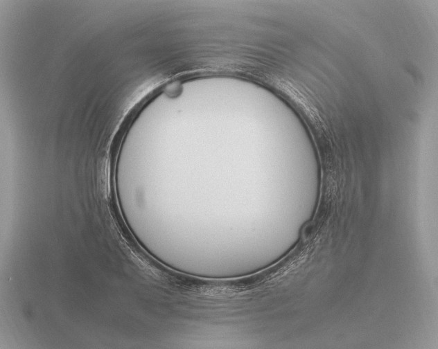 X0000116271079200912141323