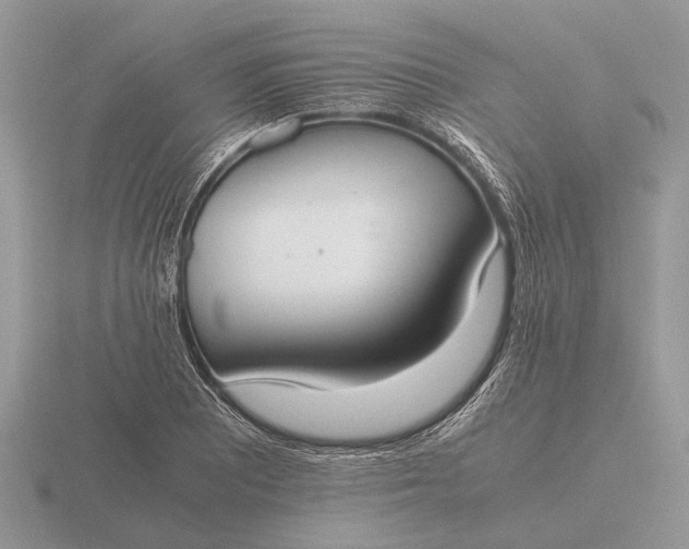 X0000116271081200912141323