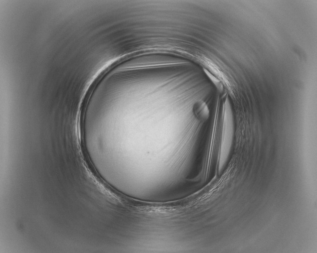 X0000116271084200912141323