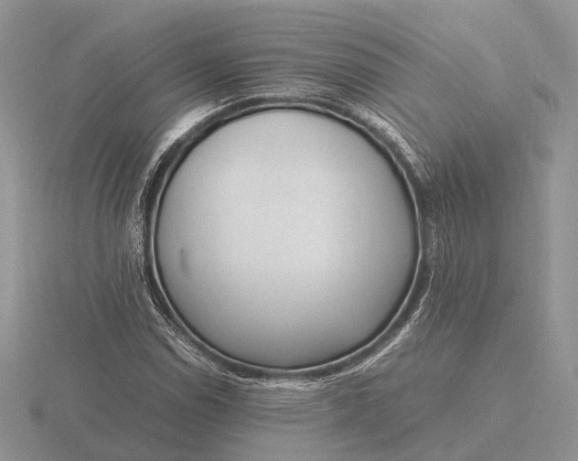 X0000116271114200912141322