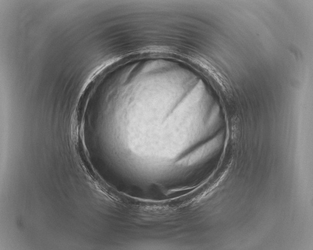 X0000116271117200912141322