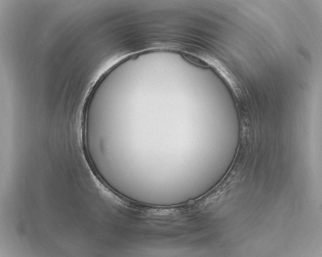 X0000116271143200912141322