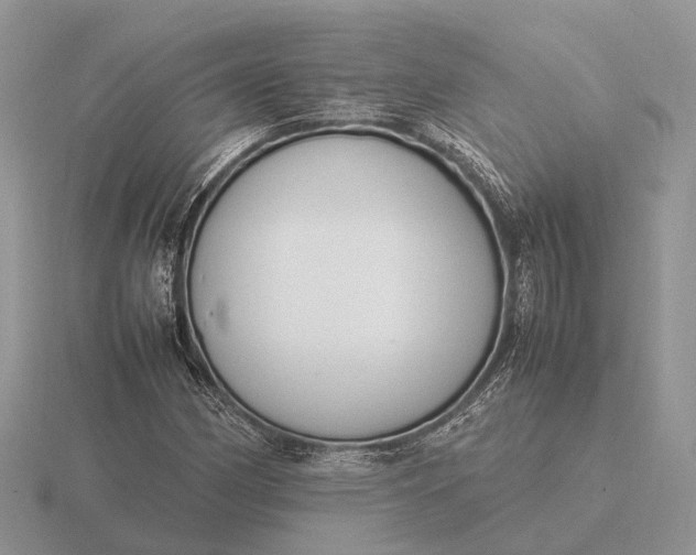 X0000116271162200912141322