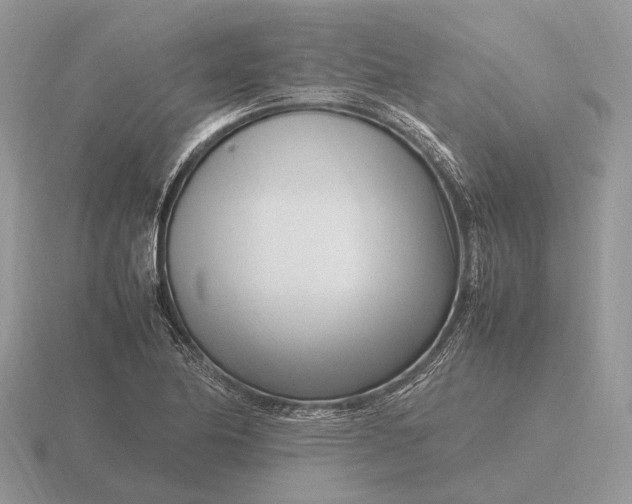 X0000116271174200912141322