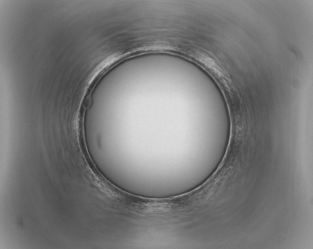 X0000116271181200912141322