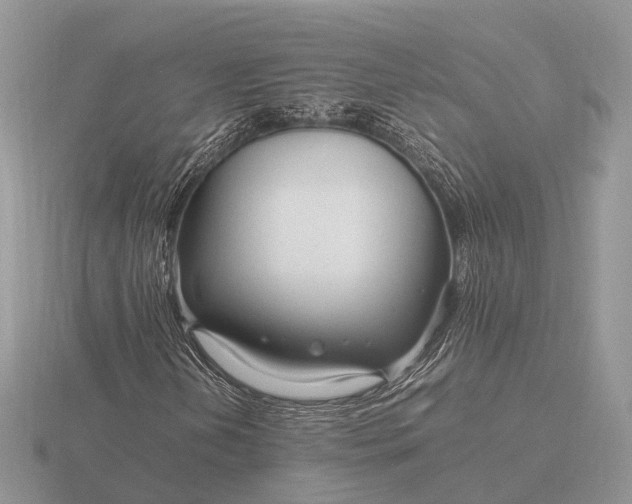 X0000116271202200912141321