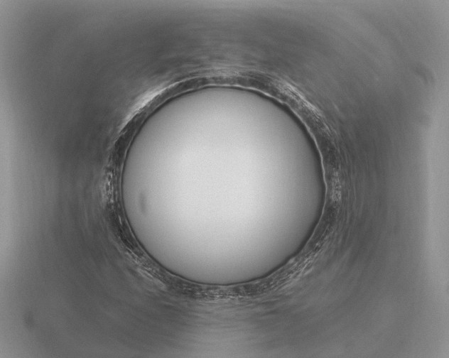 X0000116271208200912141321
