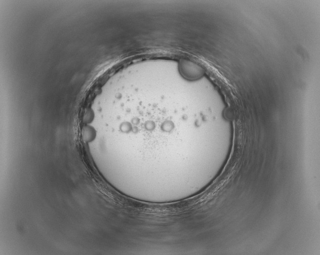 X0000116271215200912141321