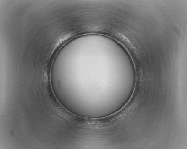 X0000116271218200912141321