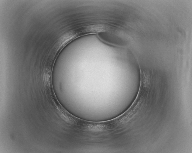 X0000116271225200912141321