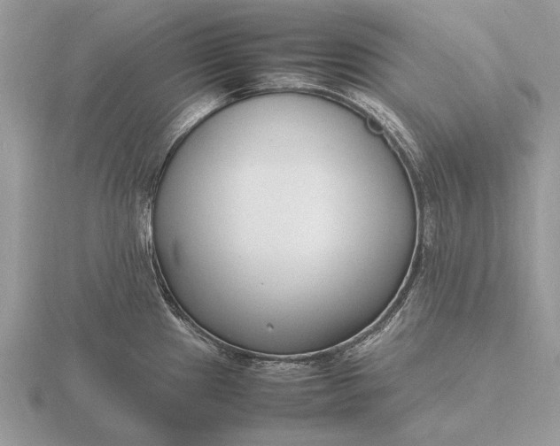 X0000116271241200912141321