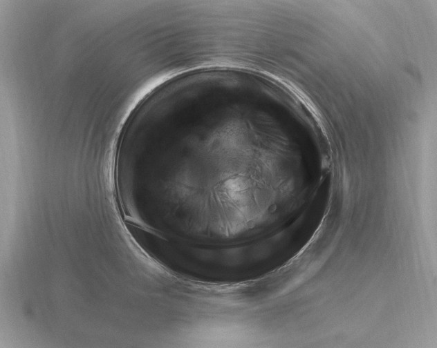 X0000116271246200912141321