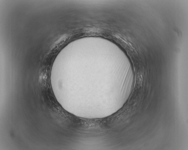 X0000116271254200912141321